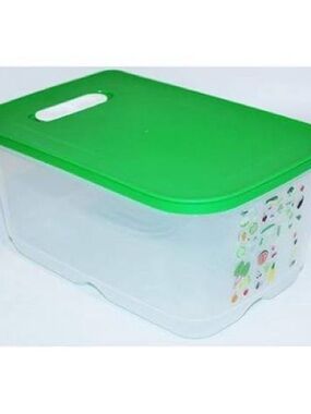 Tupperware Food Saver Storage Container Set of 2 with Lids
